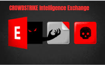 Crowd Strike